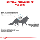 Royal Canin Kattenvoer Anallergenic 4 kg