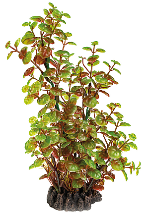 SuperFish Art Plant Rotala 25 cm