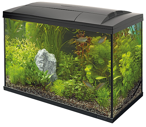 SuperFish Aquarium Start 150 Tropical Kit Zwart