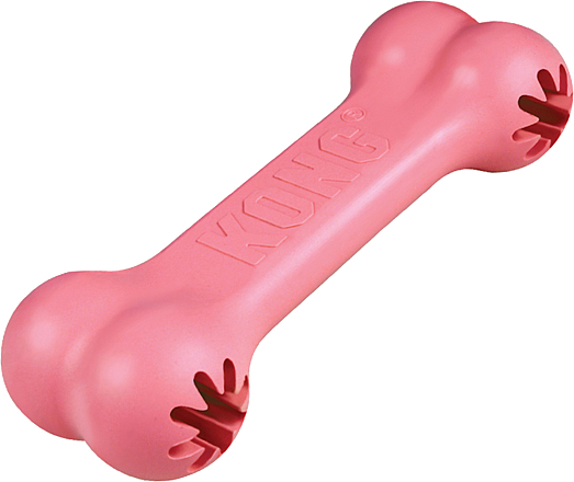 Kong Puppy Goodie Bone assorti