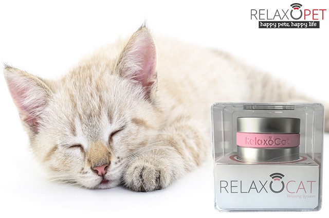 RelaxoCat Smart